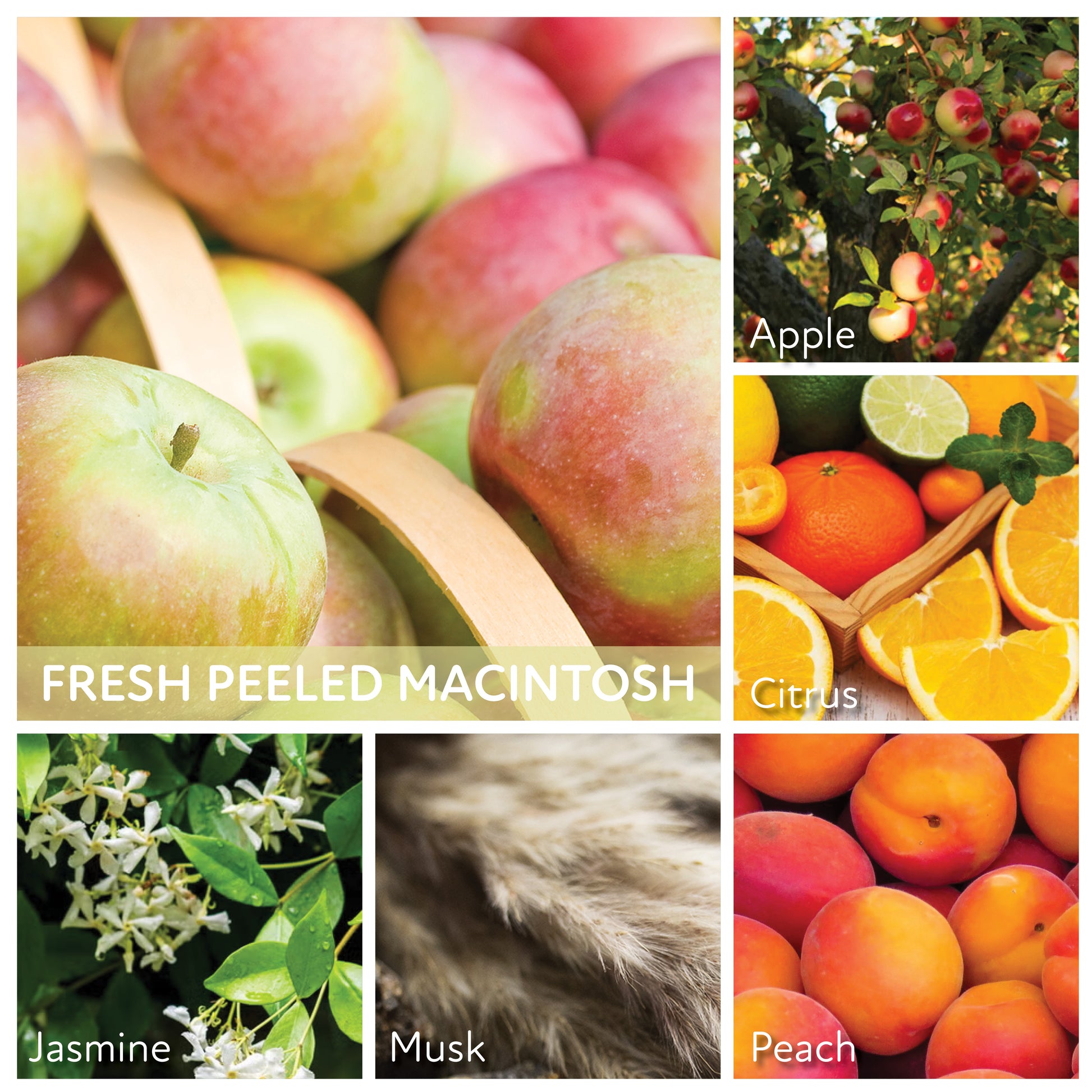 Fresh Peeled Macintosh - 6 oz Baby Candle