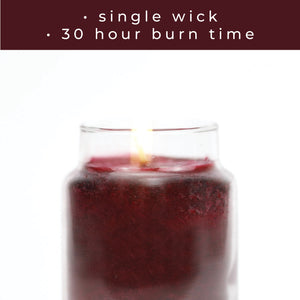 Holiday Homecoming - 6 oz Baby Candle
