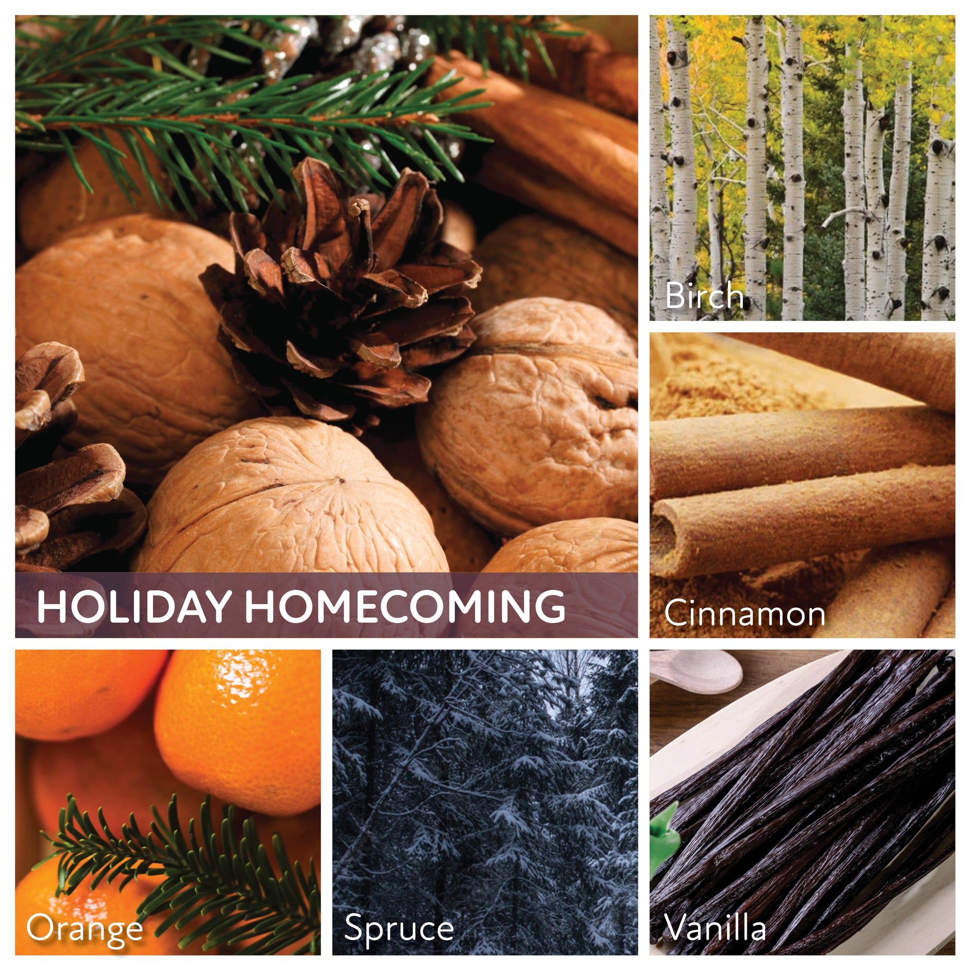 Holiday Homecoming - 6 oz Baby Candle