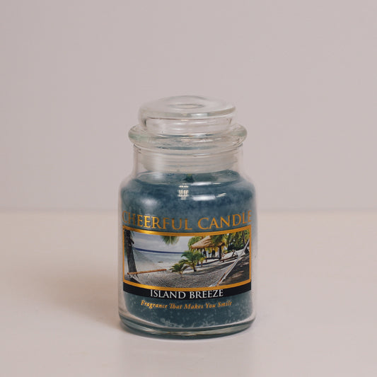 Island Breeze Scented Candle - 6 oz, Single Wick, Cheerful Candle