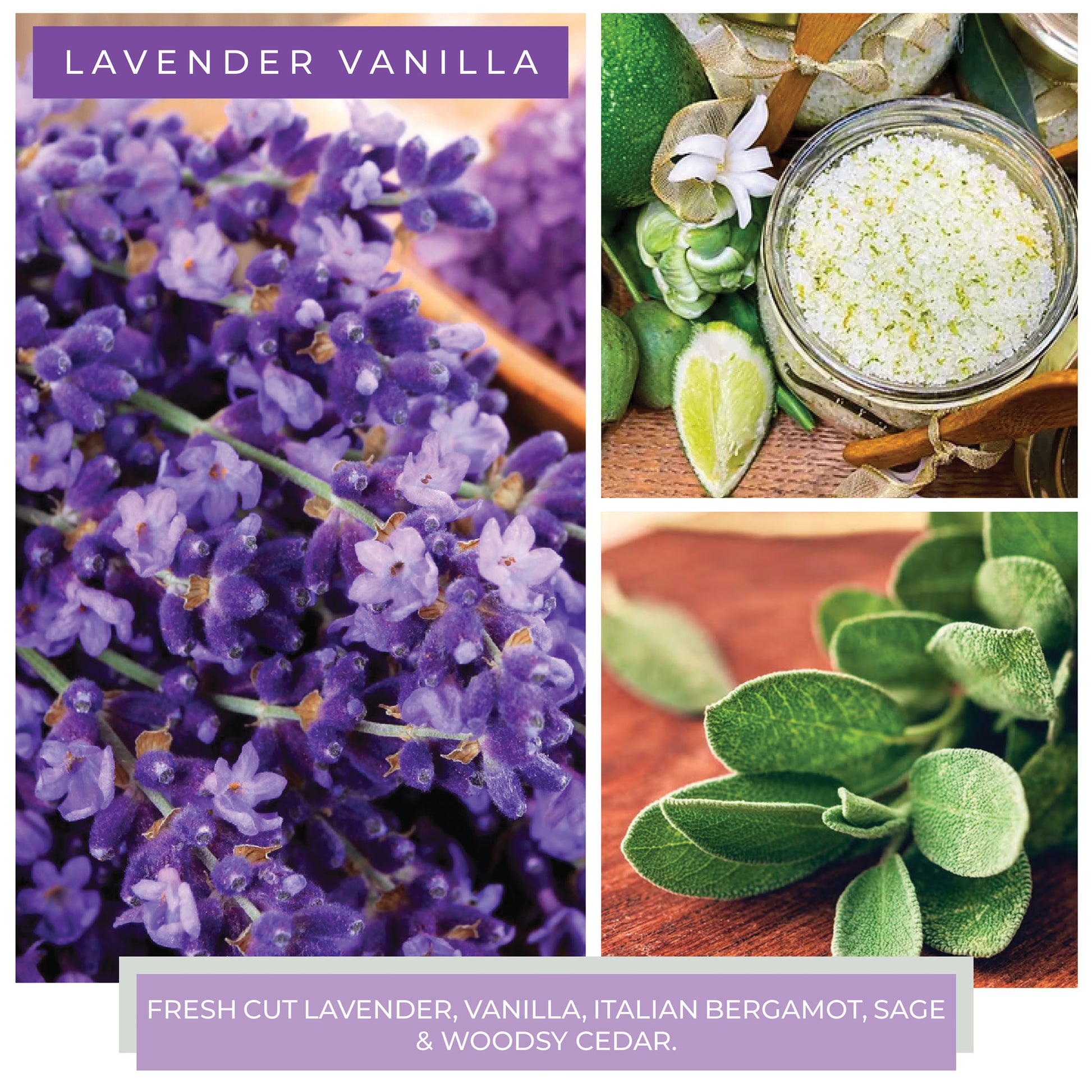 Lavender Vanilla - 22 oz Mama Candle