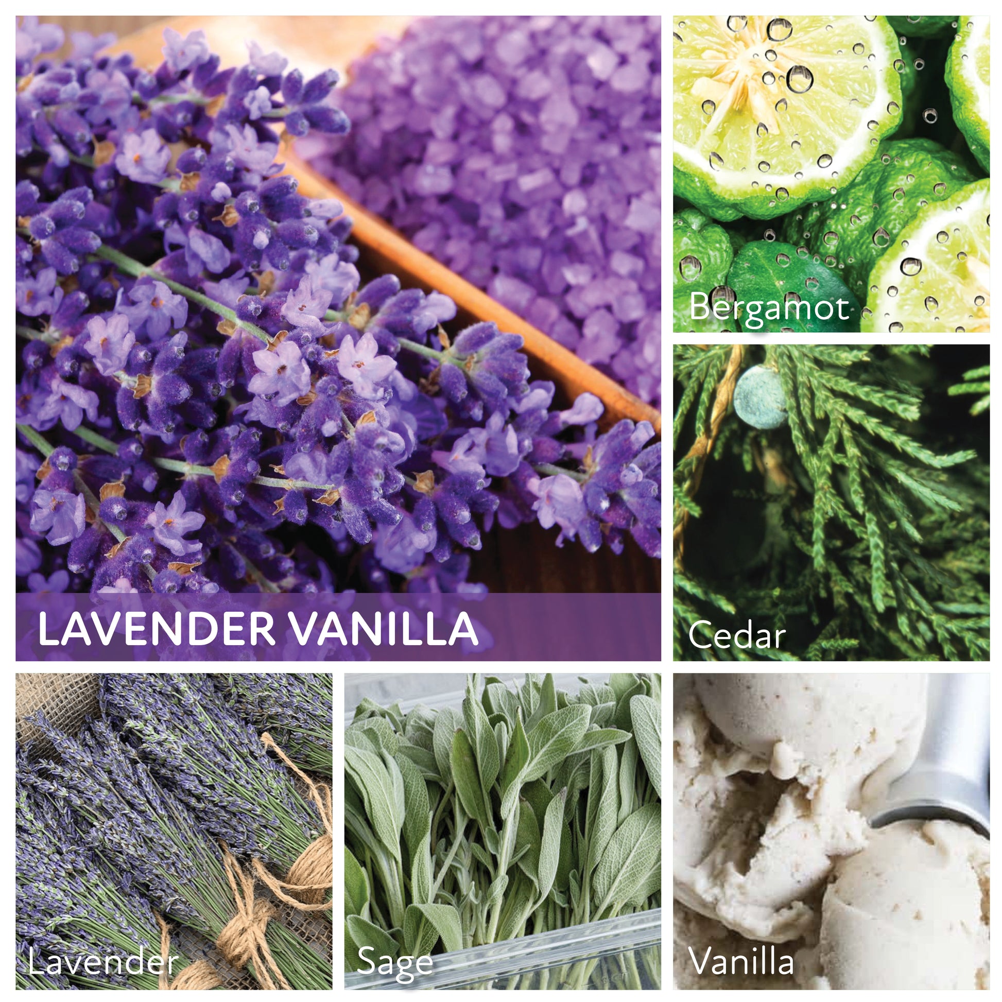 Lavender Vanilla - 6 oz Baby Candle