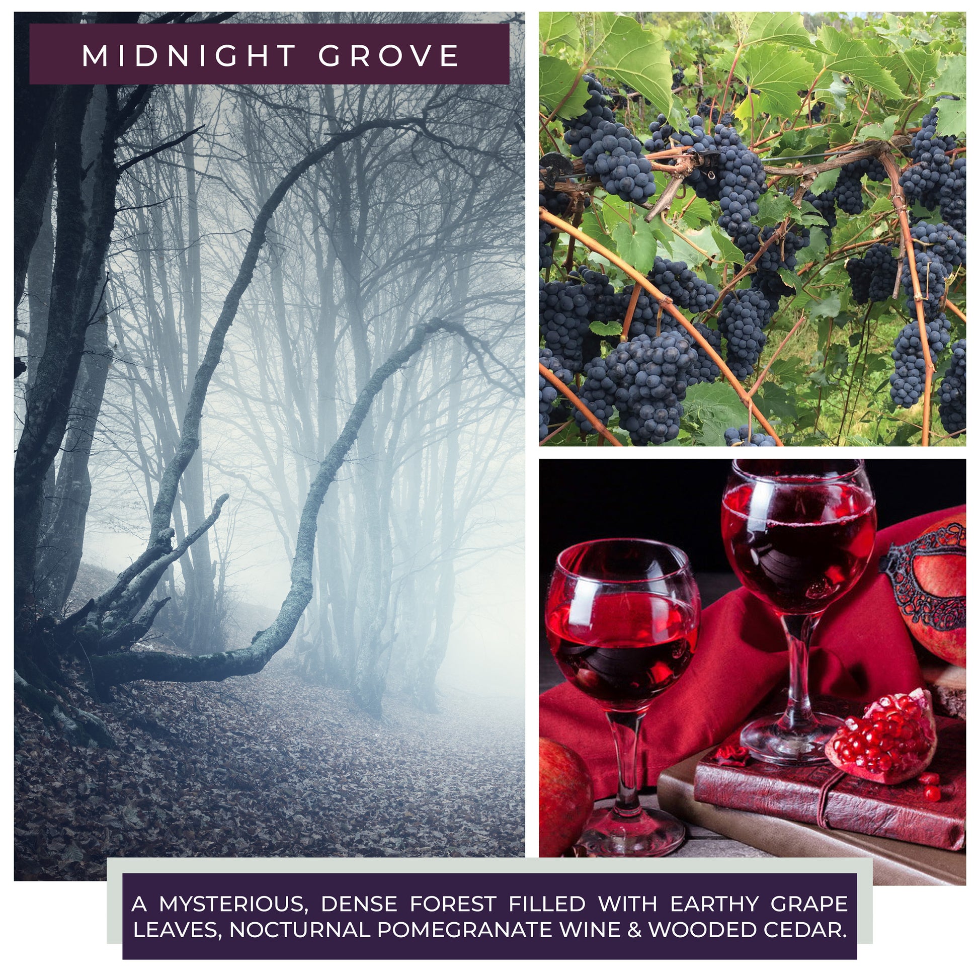 Midnight Grove - 22 oz Mama Candle