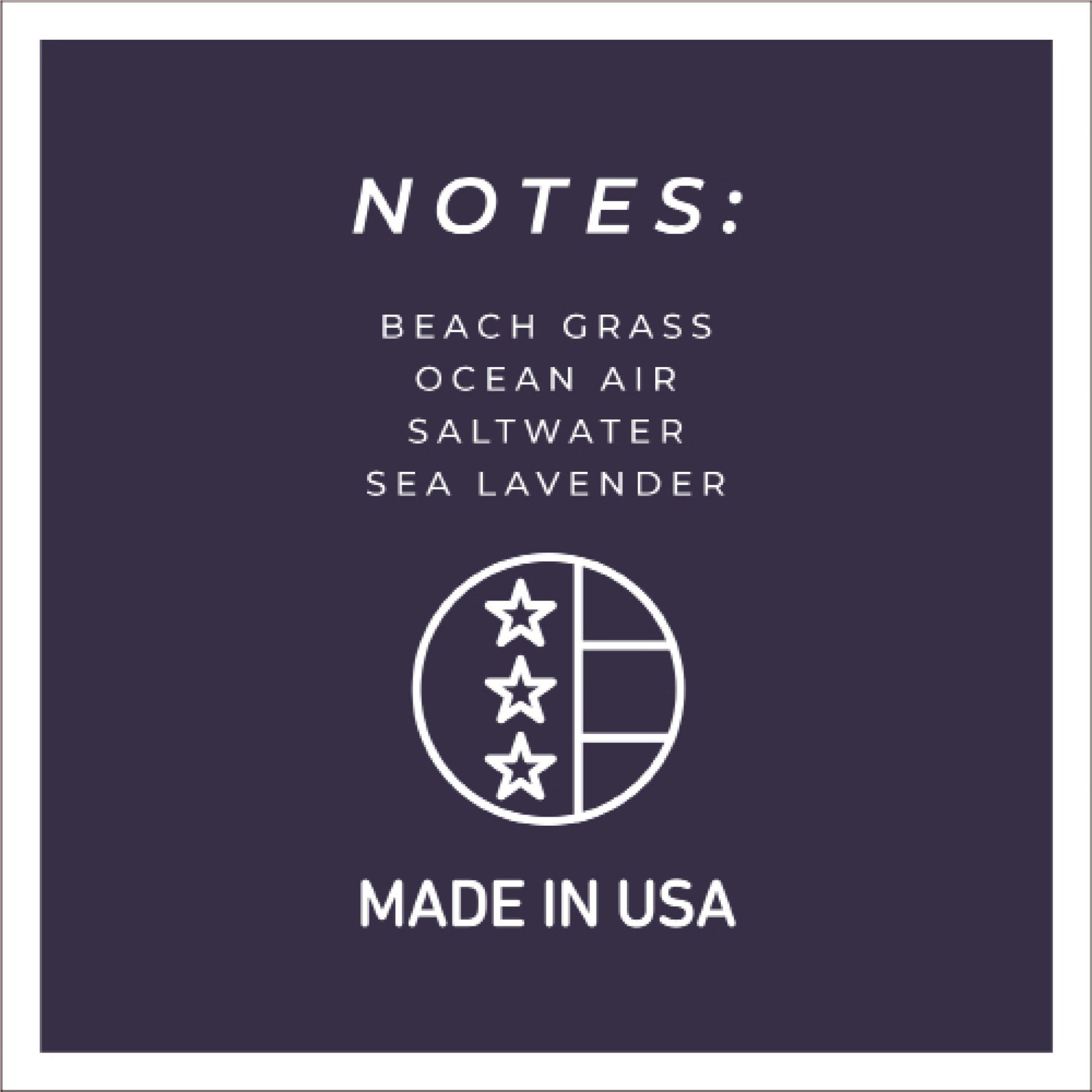 Moonlit Ocean - 16 oz Cheerful Candle