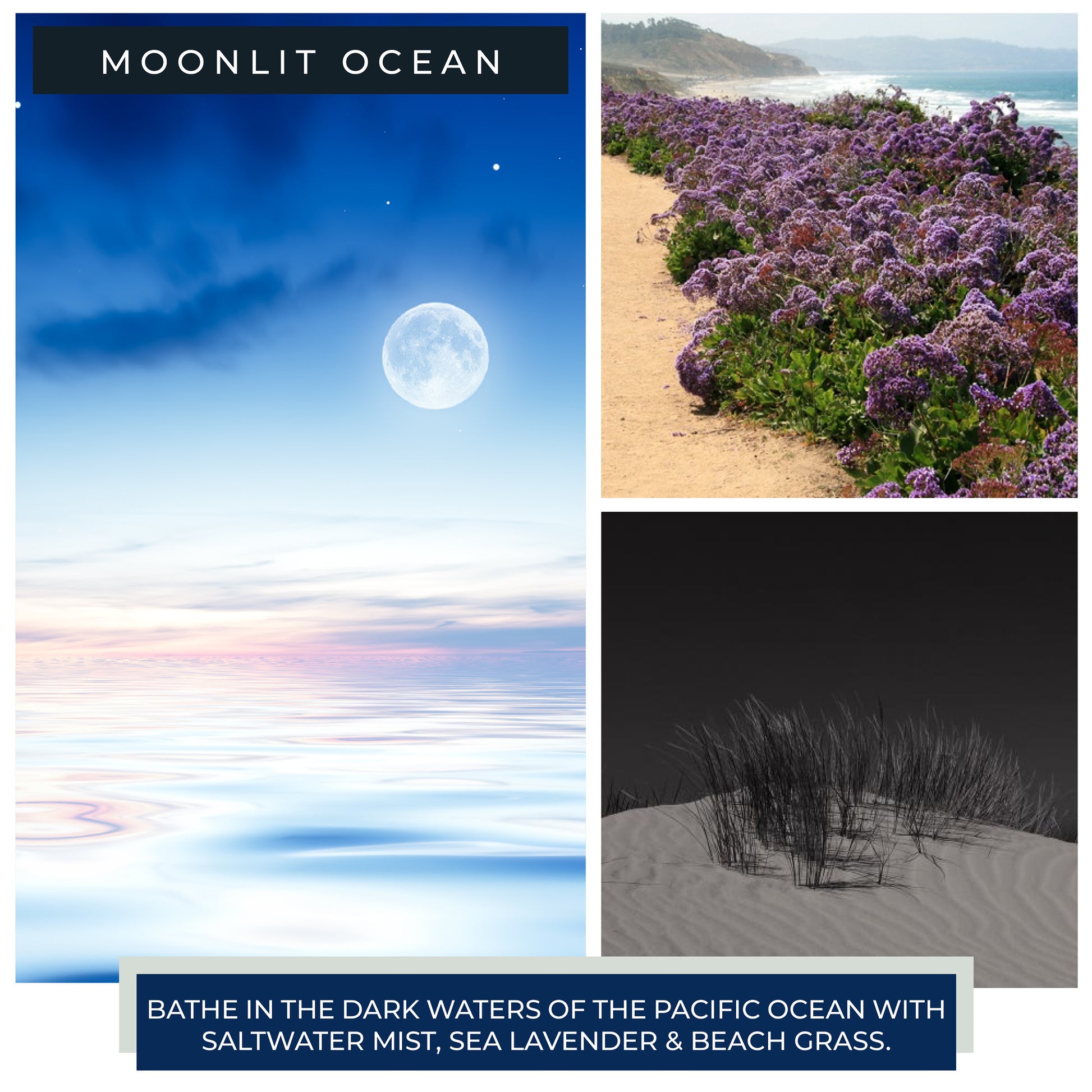 Moonlit Ocean - 22 oz Mama Candle