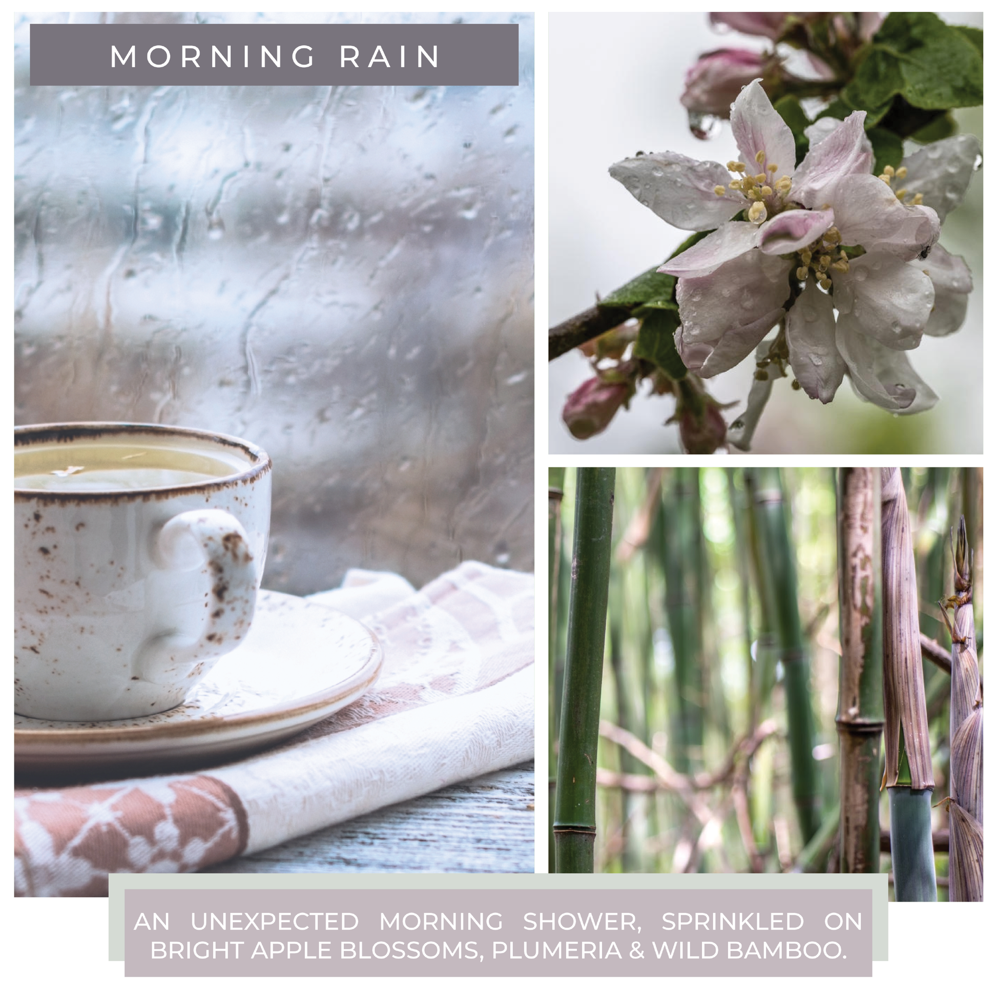 Morning Rain - 6 oz Baby Candle