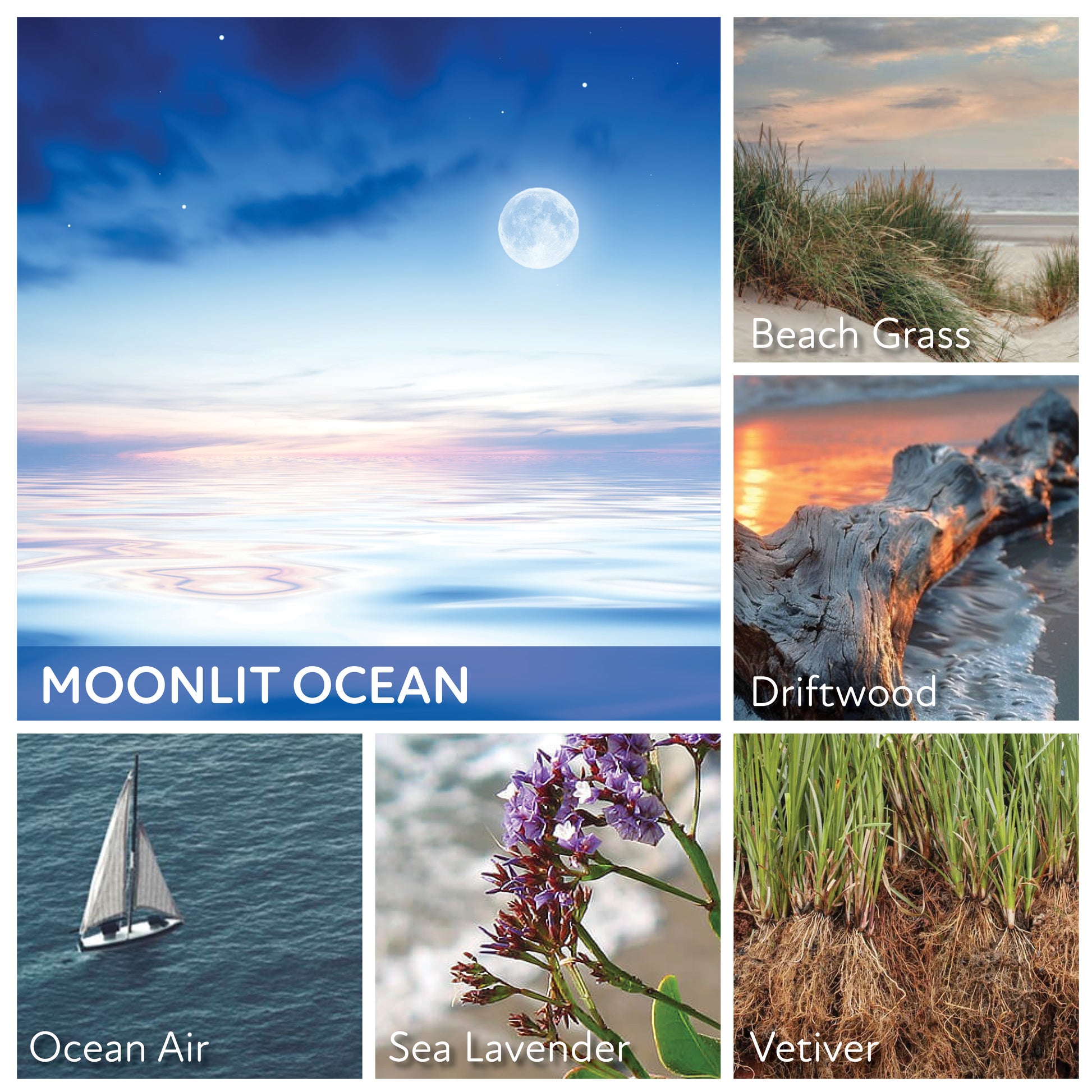Moonlit Ocean - 6 oz Cheerful Candle