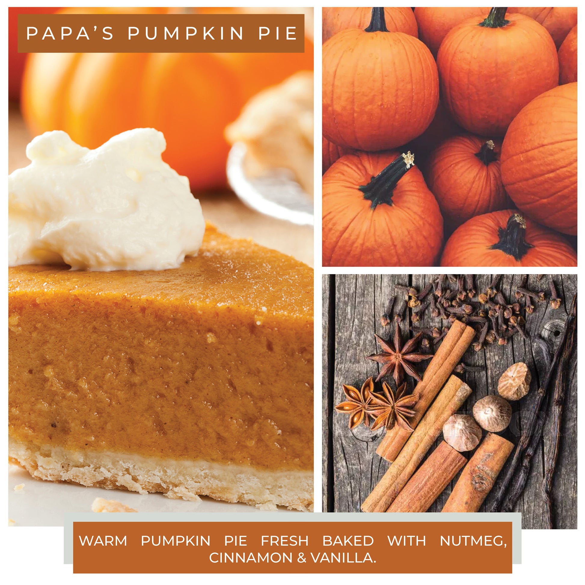 Papa's Pumpkin Pie - 22 oz Mama Candle