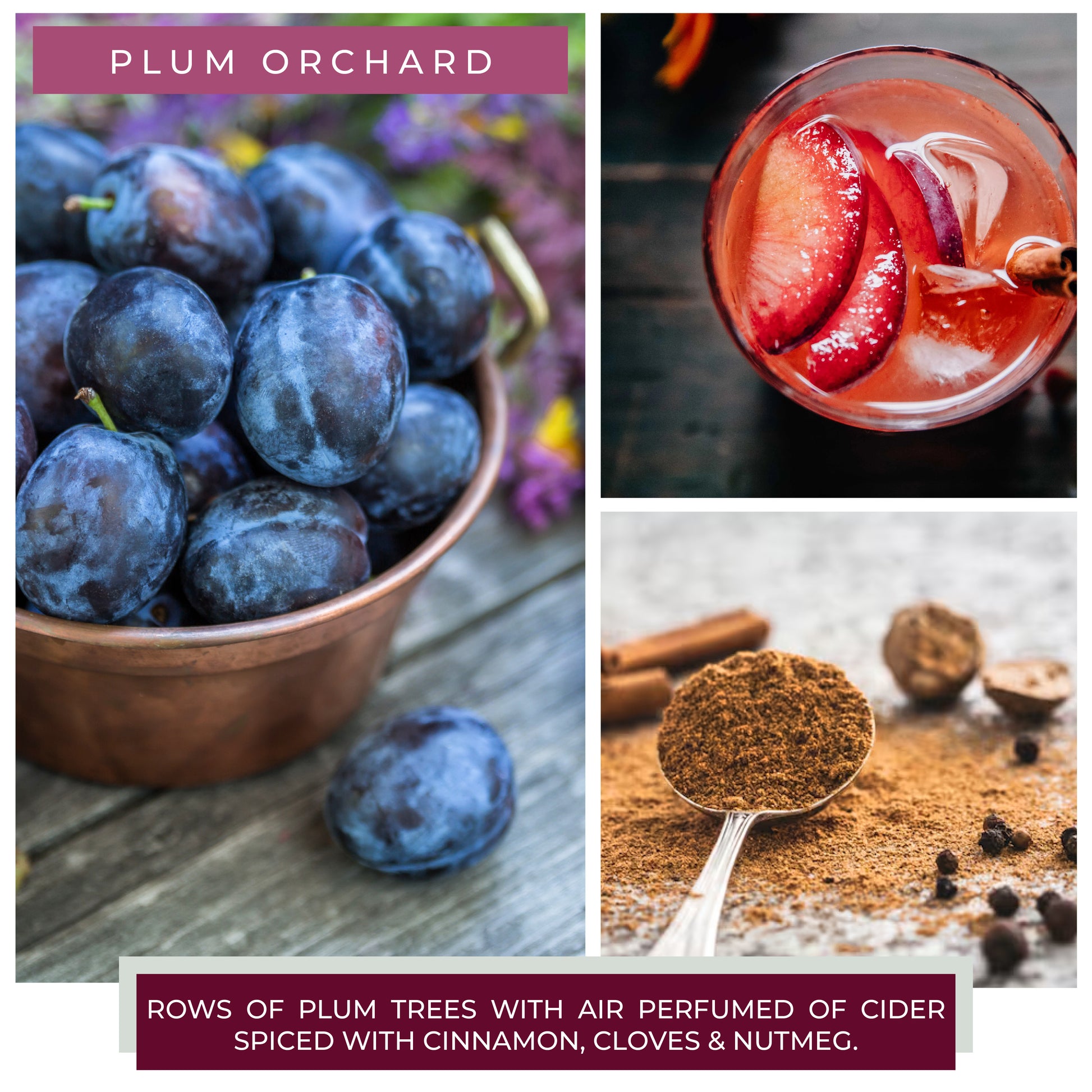 Plum Orchard - 24 oz Cheerful Candle