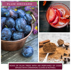 Plum Orchard - 24 oz Cheerful Candle