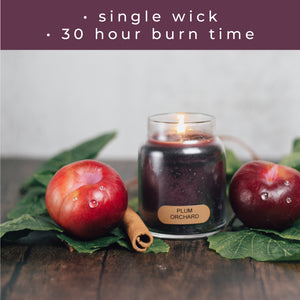 Plum Orchard - 6 oz Baby Candle