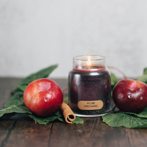 Plum Orchard Scented Candle - 6 oz, Single Wick, Baby Jar