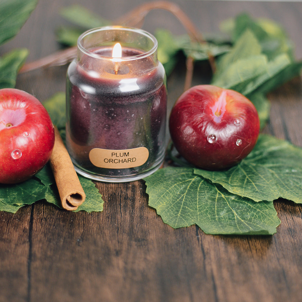 Plum Orchard Scented Candle - 6 oz, Single Wick, Baby Jar