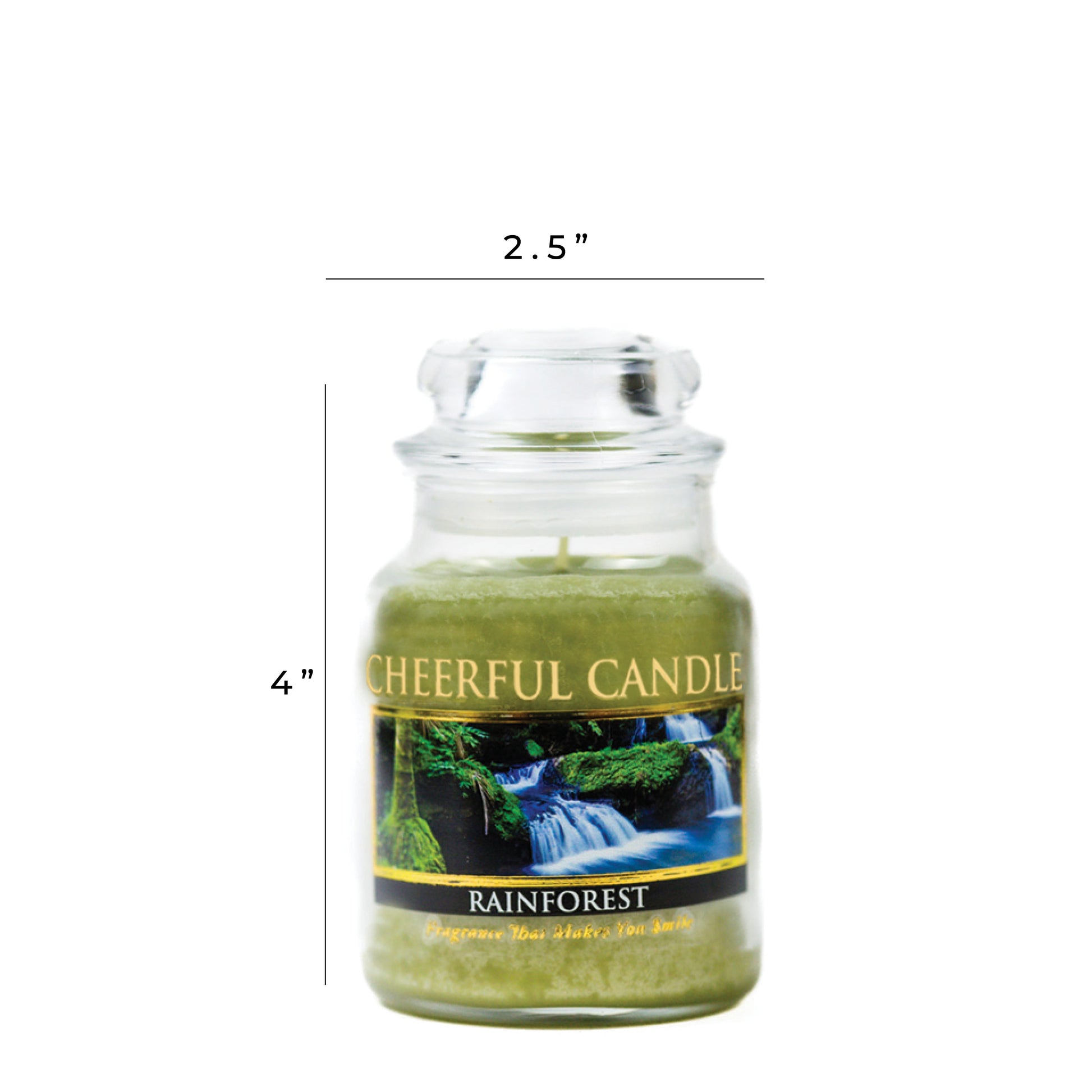 Rainforest Scented - 6 oz Cheerful Candle