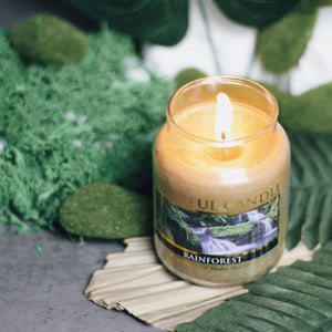 Rainforest Scented Candle - 6 oz, Single Wick, Cheerful Candle