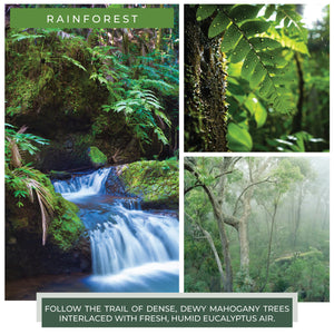 Rainforest Scented - 22 oz Mama Candle