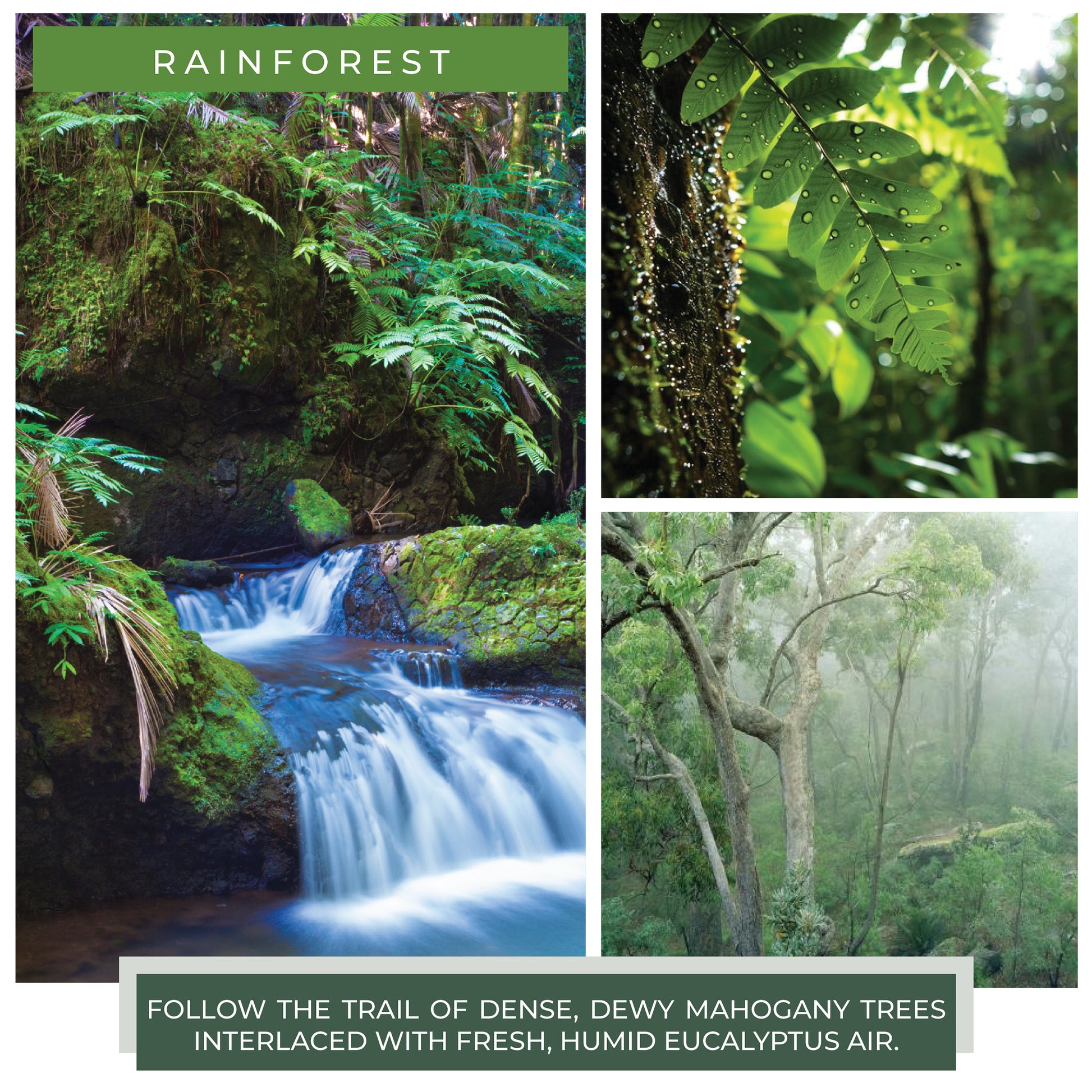 Rainforest Scented - 22 oz Mama Candle