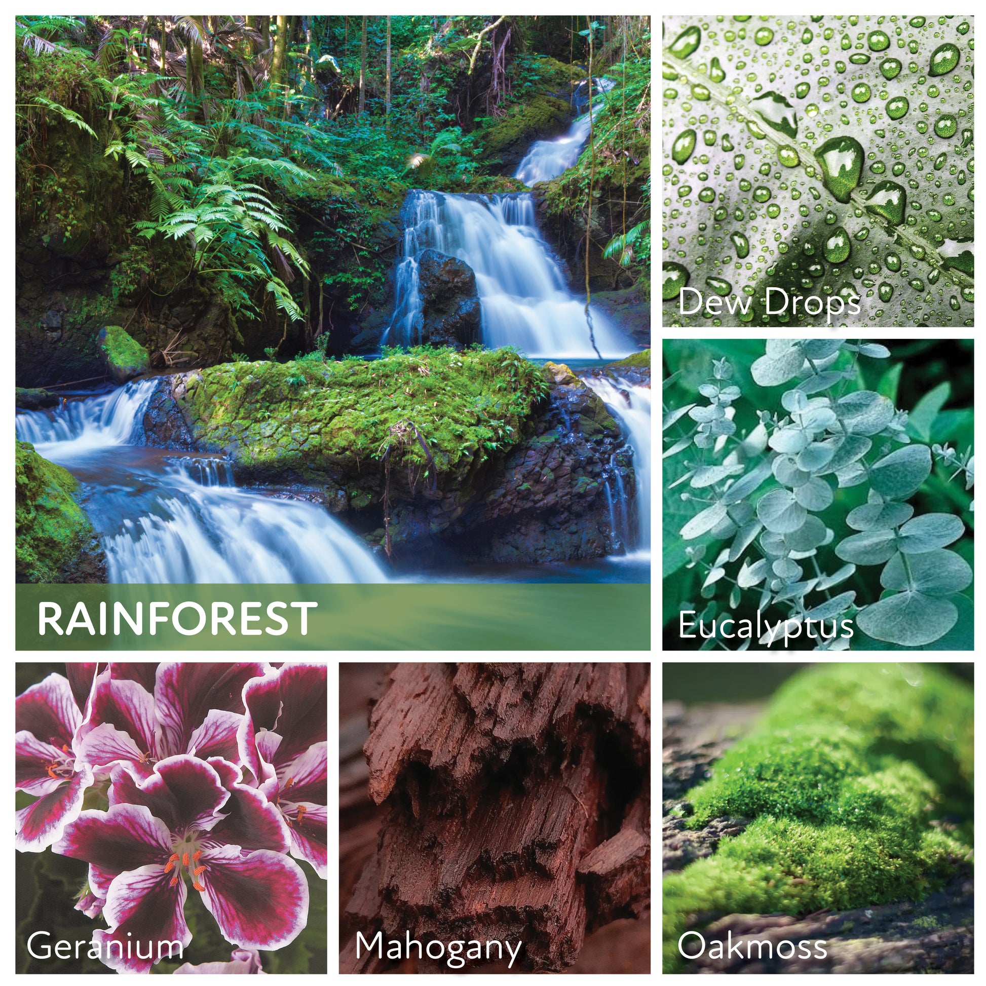 Rainforest - 6 oz Baby Candle