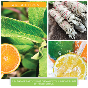 Sage & Citrus - 22 oz Mama Candle