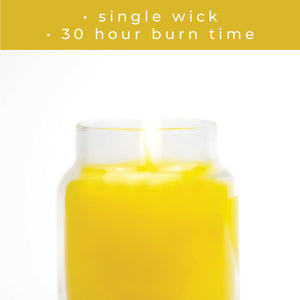 Slice of Paradise - 6 oz Baby Candle