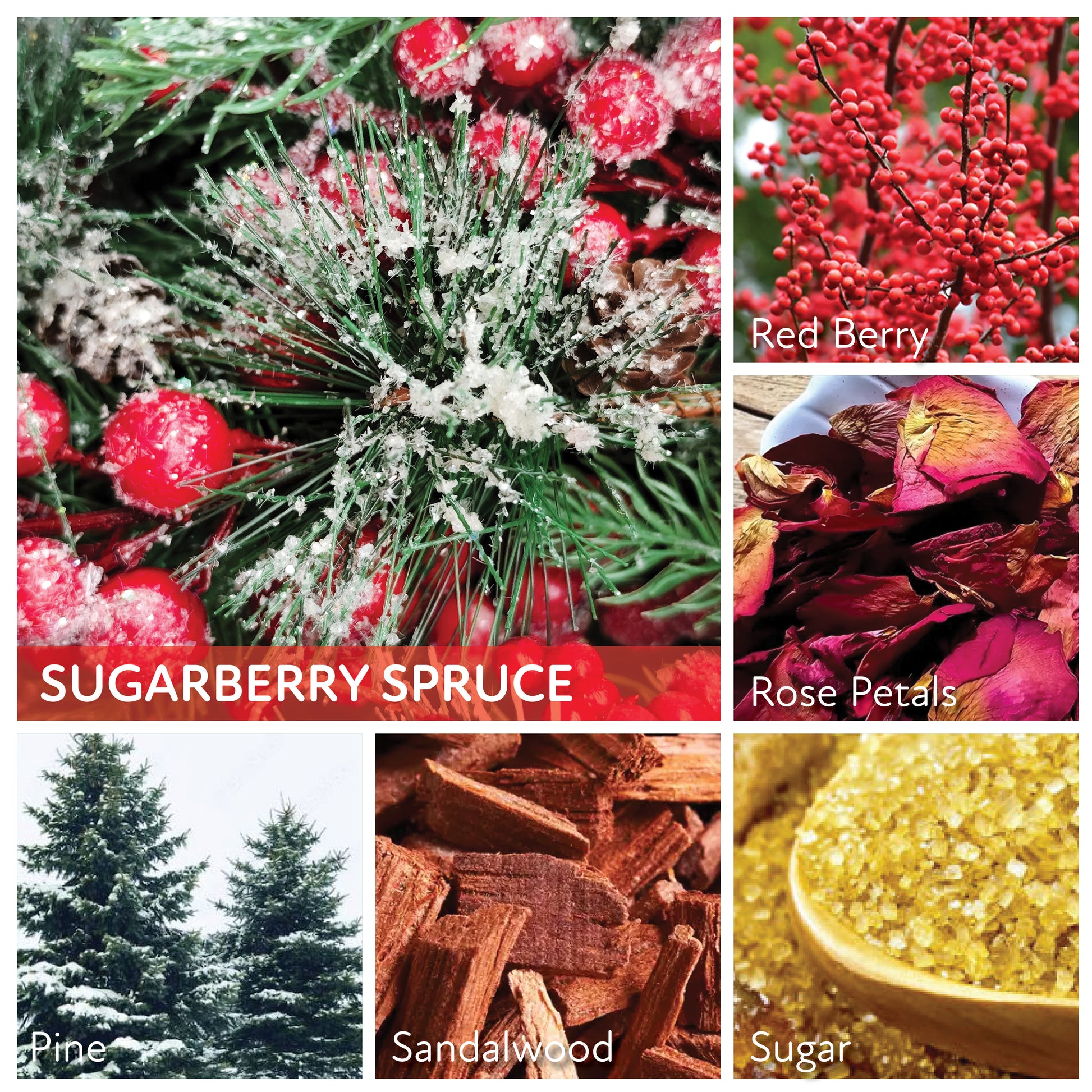 Sugarberry Spruce - 6 oz Cheerful Candle