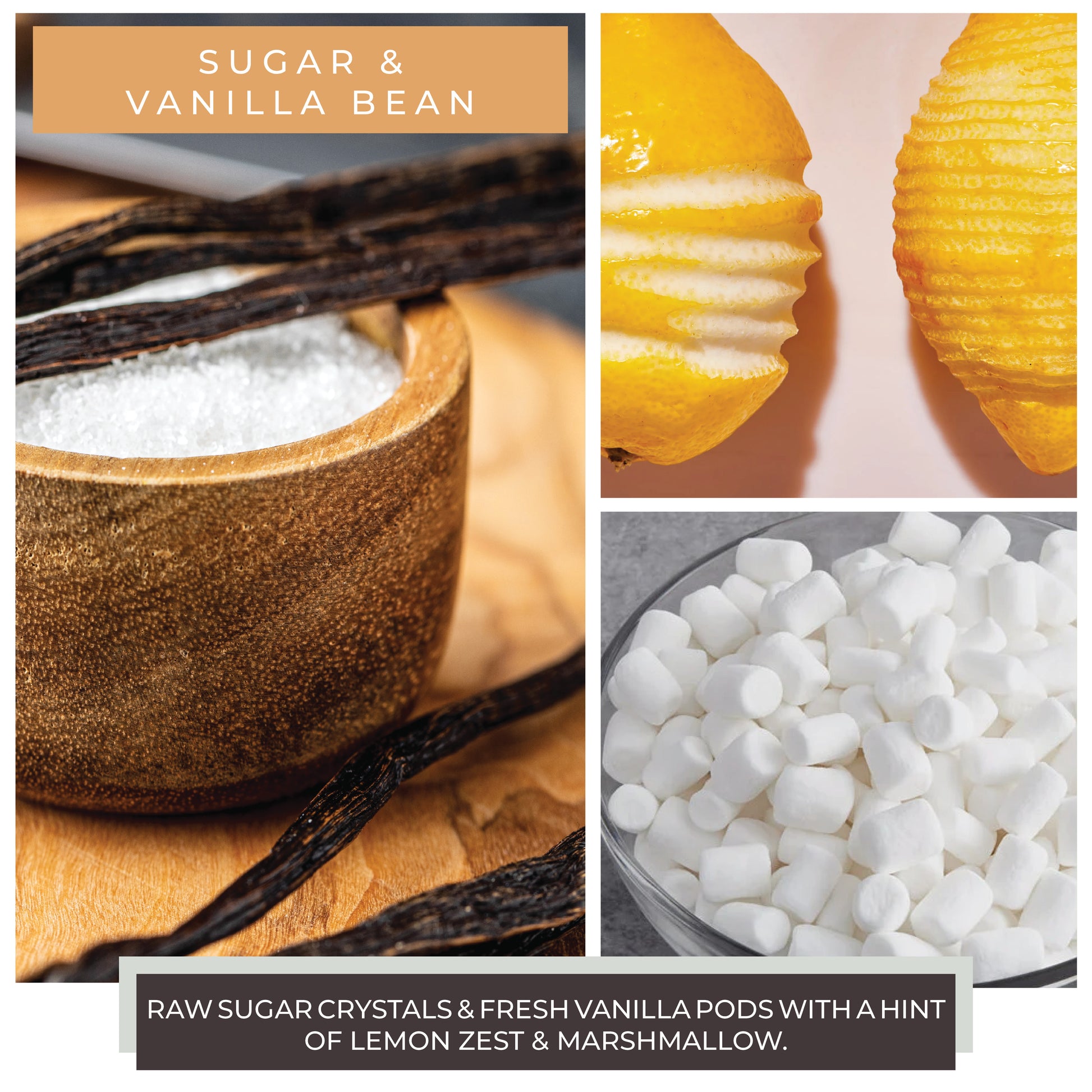 Sugar & Vanilla Bean - 16 oz Cheerful Candle