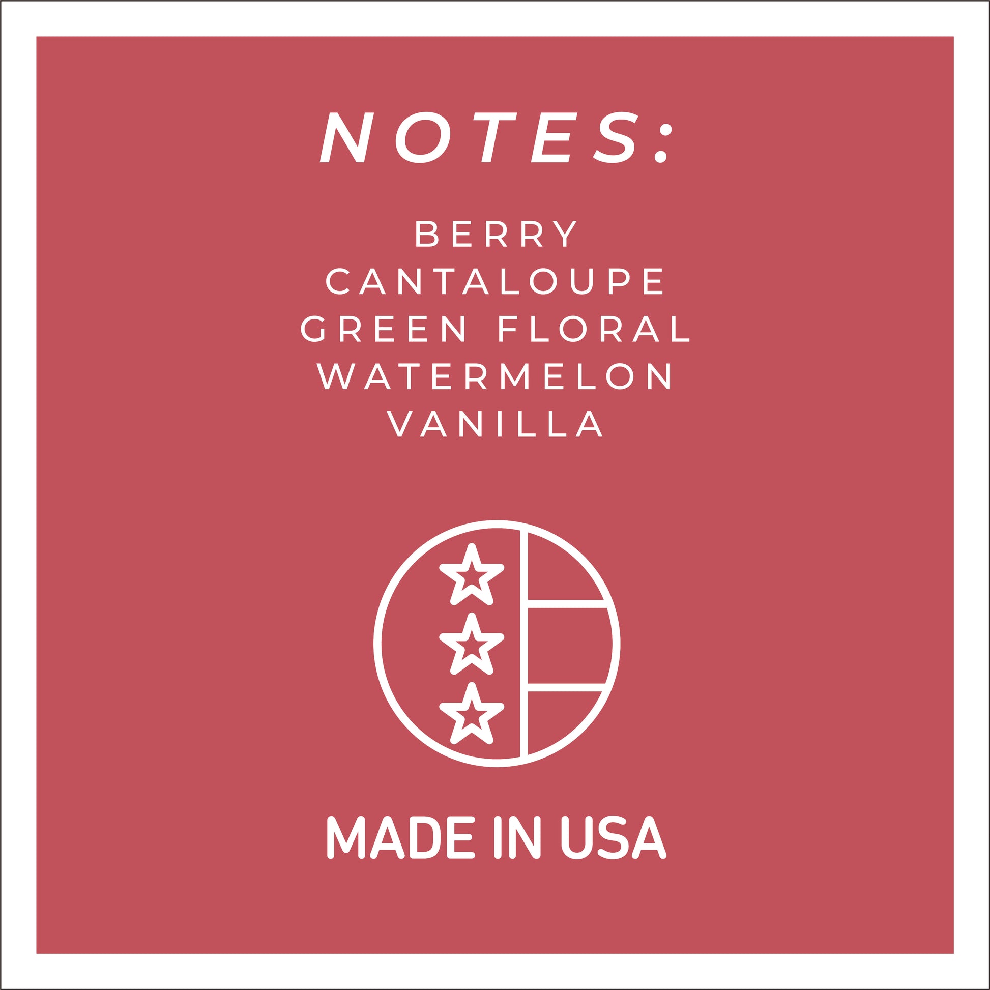 Sun-Soaked Melon - 24 oz Cheerful Candle