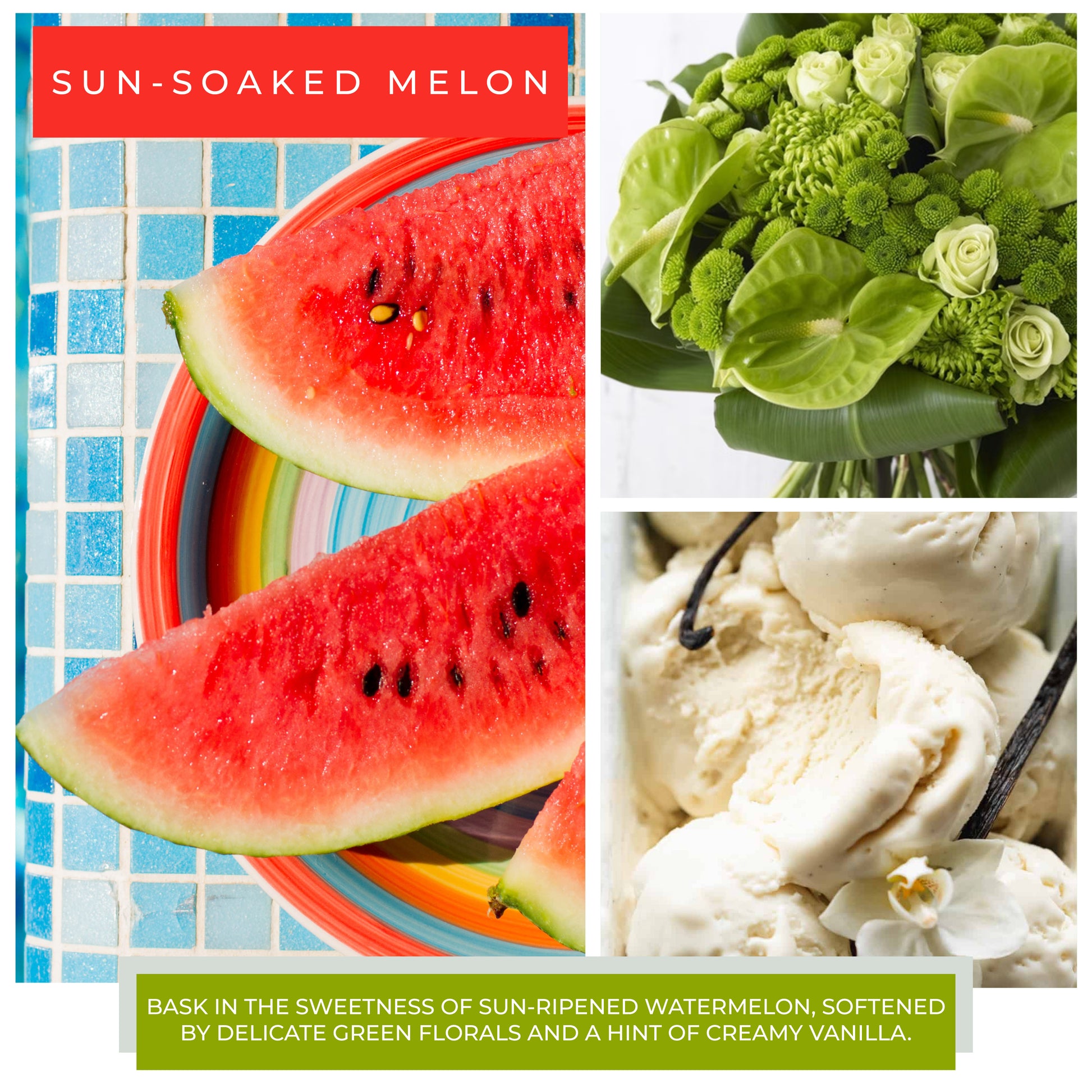 Sun-Soaked Melon - 34 oz Papa Candle