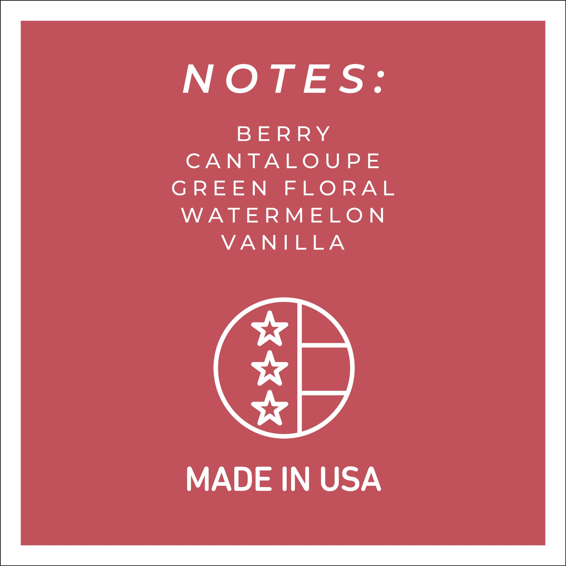 Sun-Soaked Melon - 34 oz Papa Candle