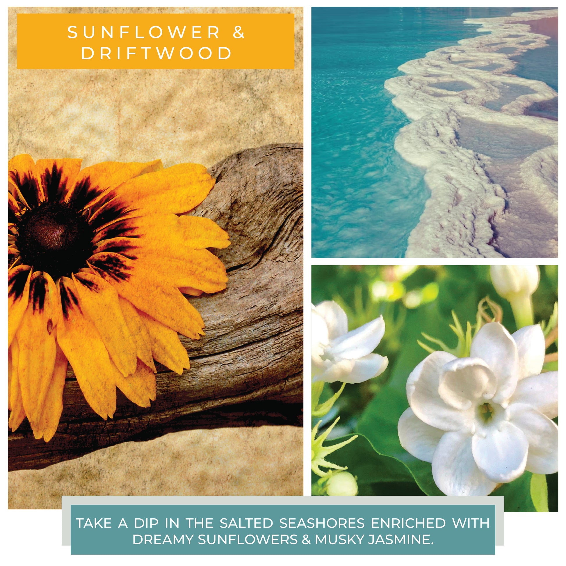 Sunflower & Driftwood - 16 oz Cheerful Candle