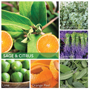 Sage & Citrus - 24 oz Cheerful Candle
