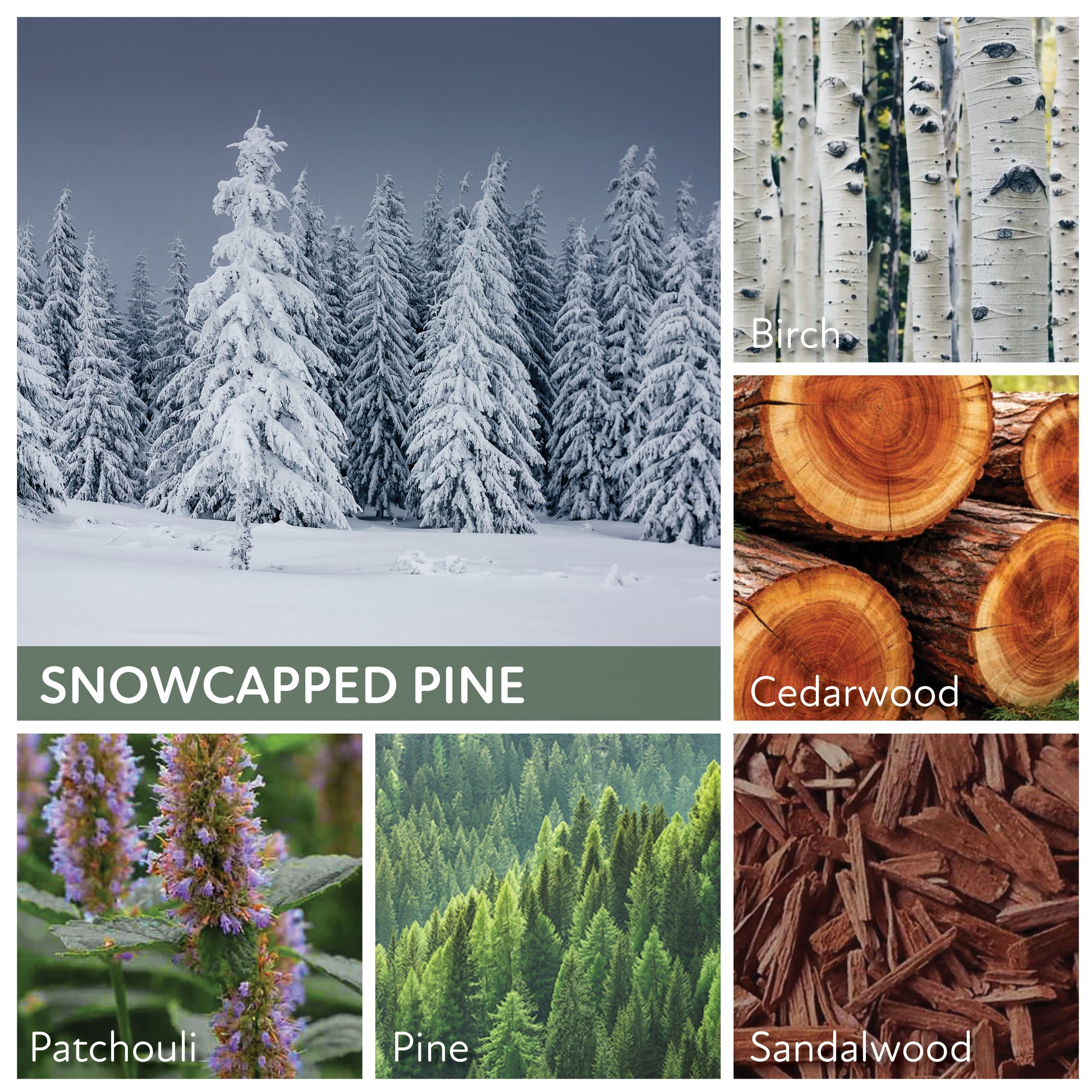 Snowcapped Pine - 34 oz Papa Candle