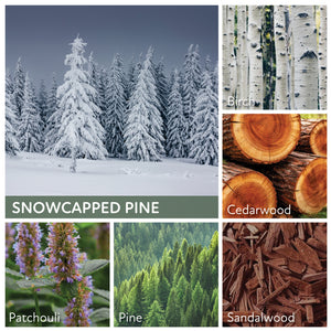 Snowcapped Pine - 24 oz Cheerful Candle
