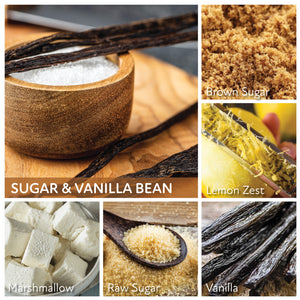 Sugar & Vanilla Bean - 6 oz Cheerful Candle