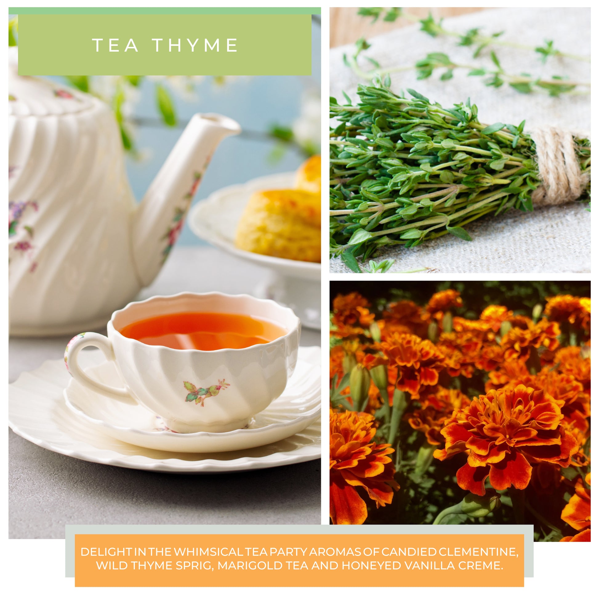 Tea Thyme - 22 oz Mama Candle