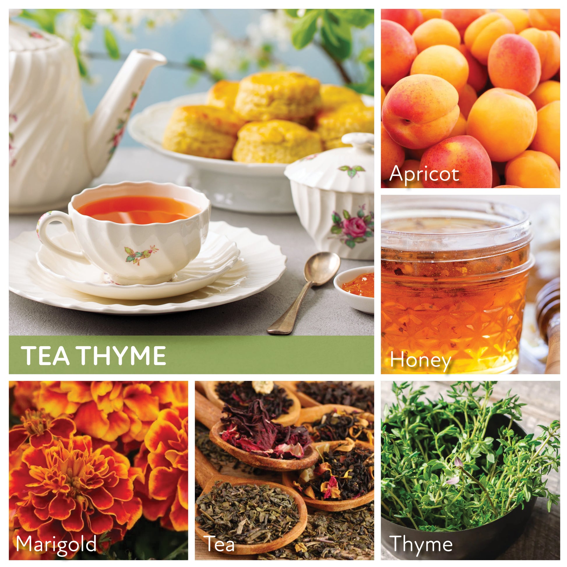 Tea Thyme - 24 oz Cheerful Candle