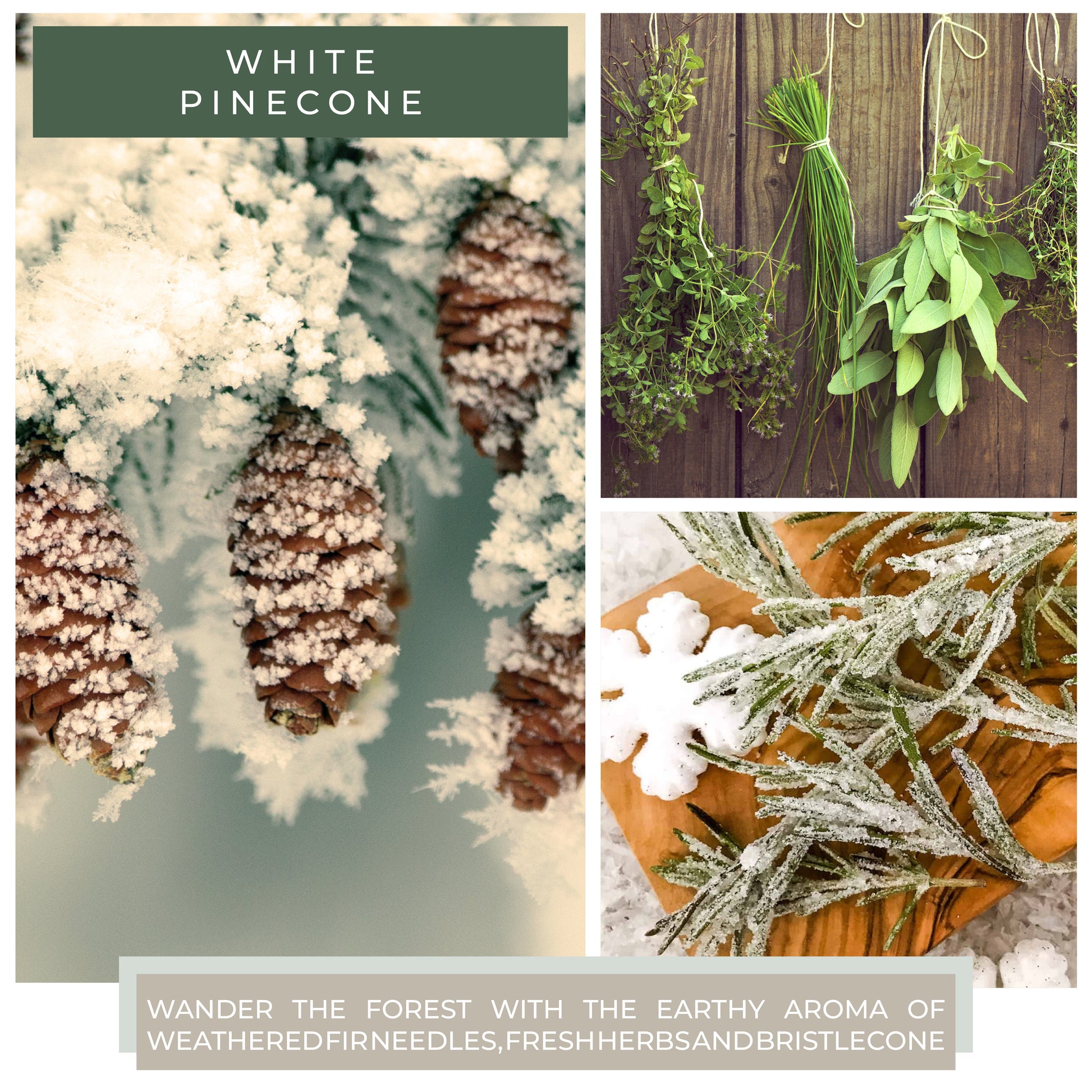 White Pinecone - 6 oz Cheerful Candle
