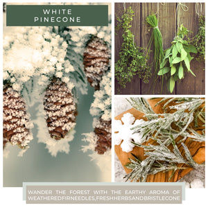 White Pinecone - 6 oz Cheerful Candle