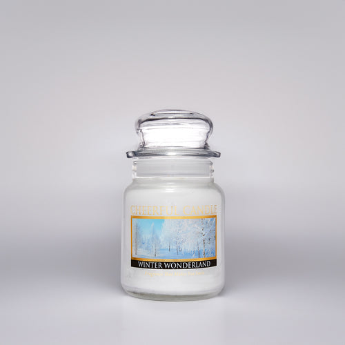 Winter Wonderland Scented Candle - 6 oz, Single Wick, Cheerful Candle