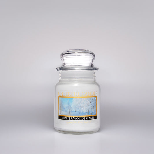 Winter Wonderland Scented Candle - 6 oz, Single Wick, Cheerful Candle